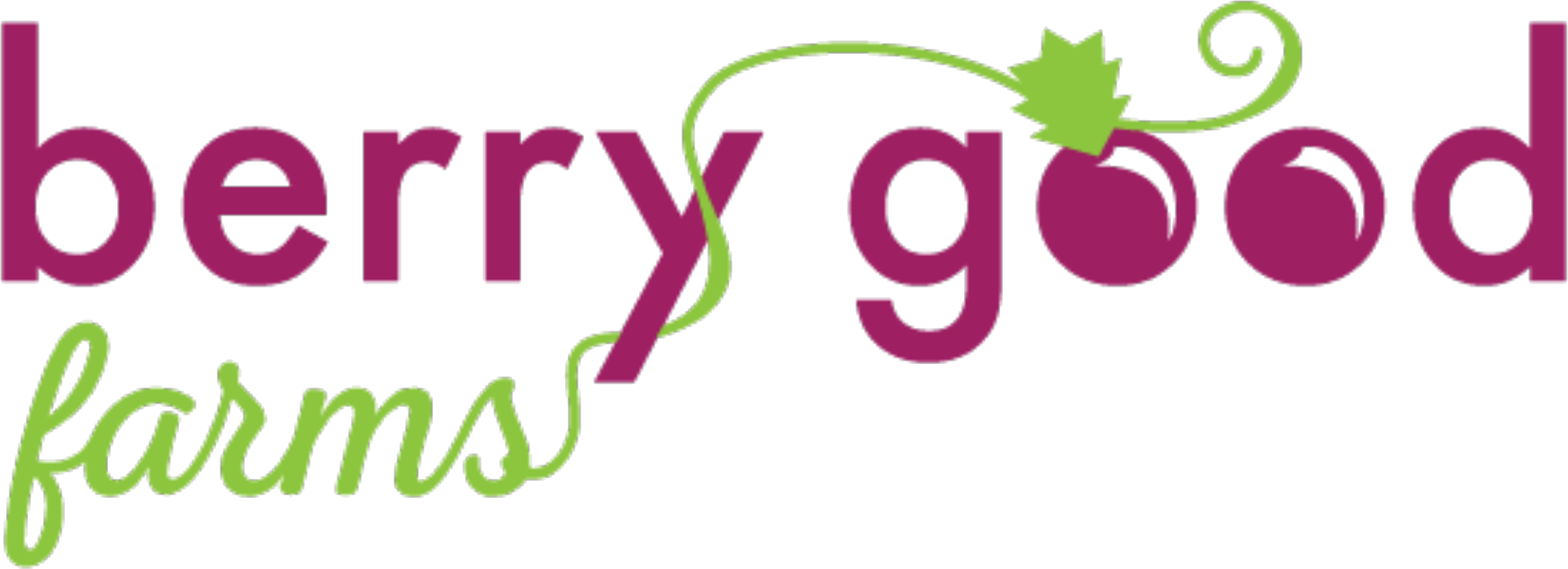 Smart BERRY